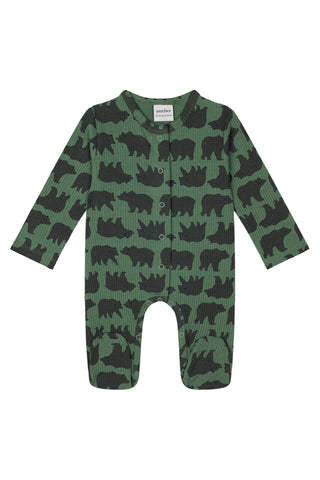 Wild Bears Footsie