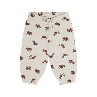 Raccoon Playtime Long Sleeve Pants Set