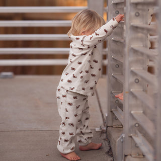 Raccoon Playtime Long Sleeve Pants Set