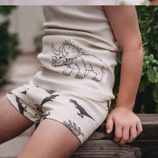 Hello Dino Print Boxers / Pack of 3